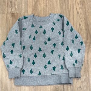 Hanna Andersson Gray and Green Tree Print Sweatshirt